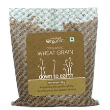 WHEAT GRAIN